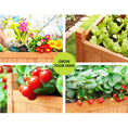 Load image into Gallery viewer, Greenfingers Garden Bed Raised Wooden Planter Outdoor Box Vegetables 90x30x33cm