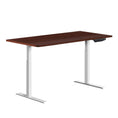Load image into Gallery viewer, Artiss Sit Stand Desk Standing Desks Motorised Electric Computer Laptop Table Office Dual Motor 120cm