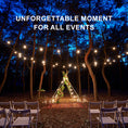 Load image into Gallery viewer, Sansai 10 Bulbs 14M Festoon String Lights LED Waterproof Outdoor Christmas Party