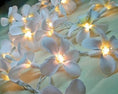 Load image into Gallery viewer, 1 Set of 20 LED White Frangipani Flower Battery String Lights Christmas Gift Home Wedding Beach Party Decoration Outdoor Table Centrepiece