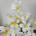 Load image into Gallery viewer, 1 Set of 20 LED White Frangipani Flower Battery String Lights Christmas Gift Home Wedding Beach Party Decoration Outdoor Table Centrepiece