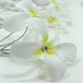 Load image into Gallery viewer, 1 Set of 20 LED White Frangipani Flower Battery String Lights Christmas Gift Home Wedding Beach Party Decoration Outdoor Table Centrepiece