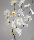Load image into Gallery viewer, 1 Set of 50cm H 20 LED White Frangipani Tree Branch Stem Fairy Light Wedding Event Party Function Table Vase Centrepiece Decoration