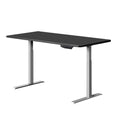 Load image into Gallery viewer, Artiss Sit Stand Desk Standing Desks Motorised Electric Home Office Laptop Computer Dual Motor 120cm
