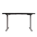 Load image into Gallery viewer, Emily Sit Stand Desk Standing Desks Motorised Electric Home Office Laptop Computer Dual Motor 120cm

