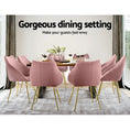 Load image into Gallery viewer, Emily Set of 2 Valisa Dining Chairs Kitchen Chairs Upholstered Velvet Pink
