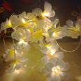 Load image into Gallery viewer, 1 Set of 20 LED White Frangipani Flower Battery String Lights Christmas Gift Home Wedding Beach Party Decoration Outdoor Table Centrepiece
