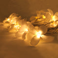 Load image into Gallery viewer, 1 Set of 20 LED White Frangipani Flower Battery String Lights Christmas Gift Home Wedding Beach Party Decoration Outdoor Table Centrepiece
