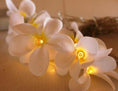 Load image into Gallery viewer, 1 Set of 20 LED White Frangipani Flower Battery String Lights Christmas Gift Home Wedding Beach Party Decoration Outdoor Table Centrepiece
