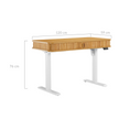 Load image into Gallery viewer, Kate Electric Height Adjustable Desk
